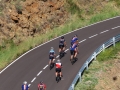 Bikecat-Mariposa-Girona-to-Empuries-Cycling-Tour-2019-154