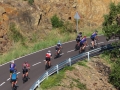 Bikecat-Mariposa-Girona-to-Empuries-Cycling-Tour-2019-155