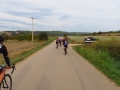 Bikecat-Mariposa-Girona-to-Empuries-Cycling-Tour-2019-169