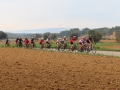 Bikecat-Mariposa-Girona-to-Empuries-Cycling-Tour-2019-170