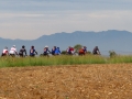 Bikecat-Mariposa-Girona-to-Empuries-Cycling-Tour-2019-176