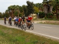 Bikecat-Mariposa-Girona-to-Empuries-Cycling-Tour-2019-178