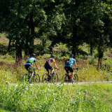 Girona-2022-Bikecat_Cycling_Tours-022
