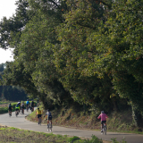 Girona-2022-Bikecat_Cycling_Tours-127