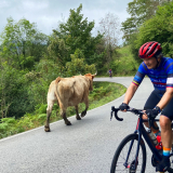 HK-Cantabria-Asturias-Cycling-Tour-2021-Bikecat-109