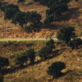 HK_Cycling_Tour_2025-042