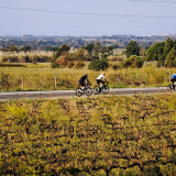 HK_Cycling_Tour_2025-054