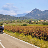 HK_Cycling_Tour_2025-057