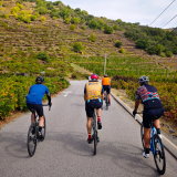 HK_Cycling_Tour_2025-074