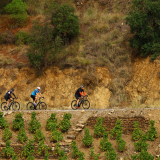 HK_Cycling_Tour_2025-077