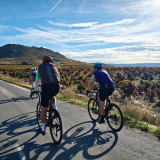 Bikecat-HK_Rioja_Cycling_Tour-016