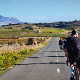 Bikecat-HK_Rioja_Cycling_Tour-017