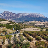 Bikecat-HK_Rioja_Cycling_Tour-024