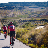 Bikecat-HK_Rioja_Cycling_Tour-044