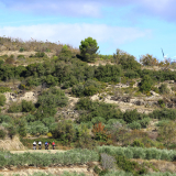 Bikecat-HK_Rioja_Cycling_Tour-055