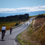 Bikecat-HK_Rioja_Cycling_Tour-075
