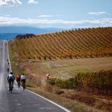Bikecat-HK_Rioja_Cycling_Tour-079