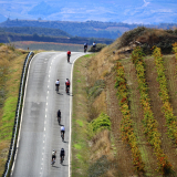 Bikecat-HK_Rioja_Cycling_Tour-083