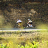 Bikecat-HK_Rioja_Cycling_Tour-084