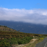 Bikecat-HK_Rioja_Cycling_Tour-095