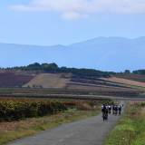 Bikecat-HK_Rioja_Cycling_Tour-100