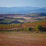 Bikecat-HK_Rioja_Cycling_Tour-139