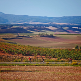 Bikecat-HK_Rioja_Cycling_Tour-141