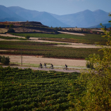 Bikecat-HK_Rioja_Cycling_Tour-147
