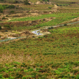 Bikecat-HK_Rioja_Cycling_Tour-184