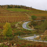 Bikecat-HK_Rioja_Cycling_Tour-185