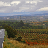 Bikecat-HK_Rioja_Cycling_Tour-191