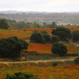 Bikecat-HK_Rioja_Cycling_Tour-192