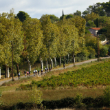 HK_Sud_de_France-066