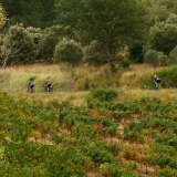 HK_Sud_de_France-107