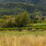 HK_Sud_de_France-141