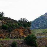 HK_Sud_de_France-160