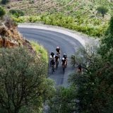 HK_Sud_de_France-161