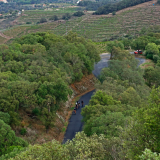 HK_Sud_de_France-165