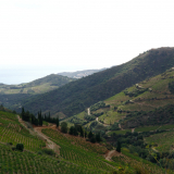 HK_Sud_de_France-169