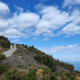 HK_Sud_de_France-194