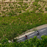 HK_Sud_de_France-213