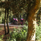 Jacqtours-Girona-2021-Bikecat-Cycling-Tours-103