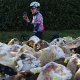 Jacqtours-Girona-2021-Bikecat-Cycling-Tours-123