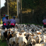 Jacqtours-Girona-2021-Bikecat-Cycling-Tours-124