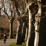 Jacqtours-Girona-2021-Bikecat-Cycling-Tours-144