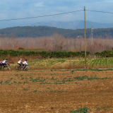 Jacqtours-Girona-2021-Bikecat-Cycling-Tours-163