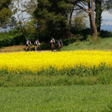 Jacqtours-Girona-Costa-Brava-2022-Bikecat-Cycling-Tours-014