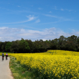 Jacqtours-Girona-Costa-Brava-2022-Bikecat-Cycling-Tours-034