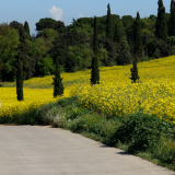 Jacqtours-Girona-Costa-Brava-2022-Bikecat-Cycling-Tours-044