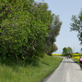 Jacqtours-Girona-Costa-Brava-2022-Bikecat-Cycling-Tours-078